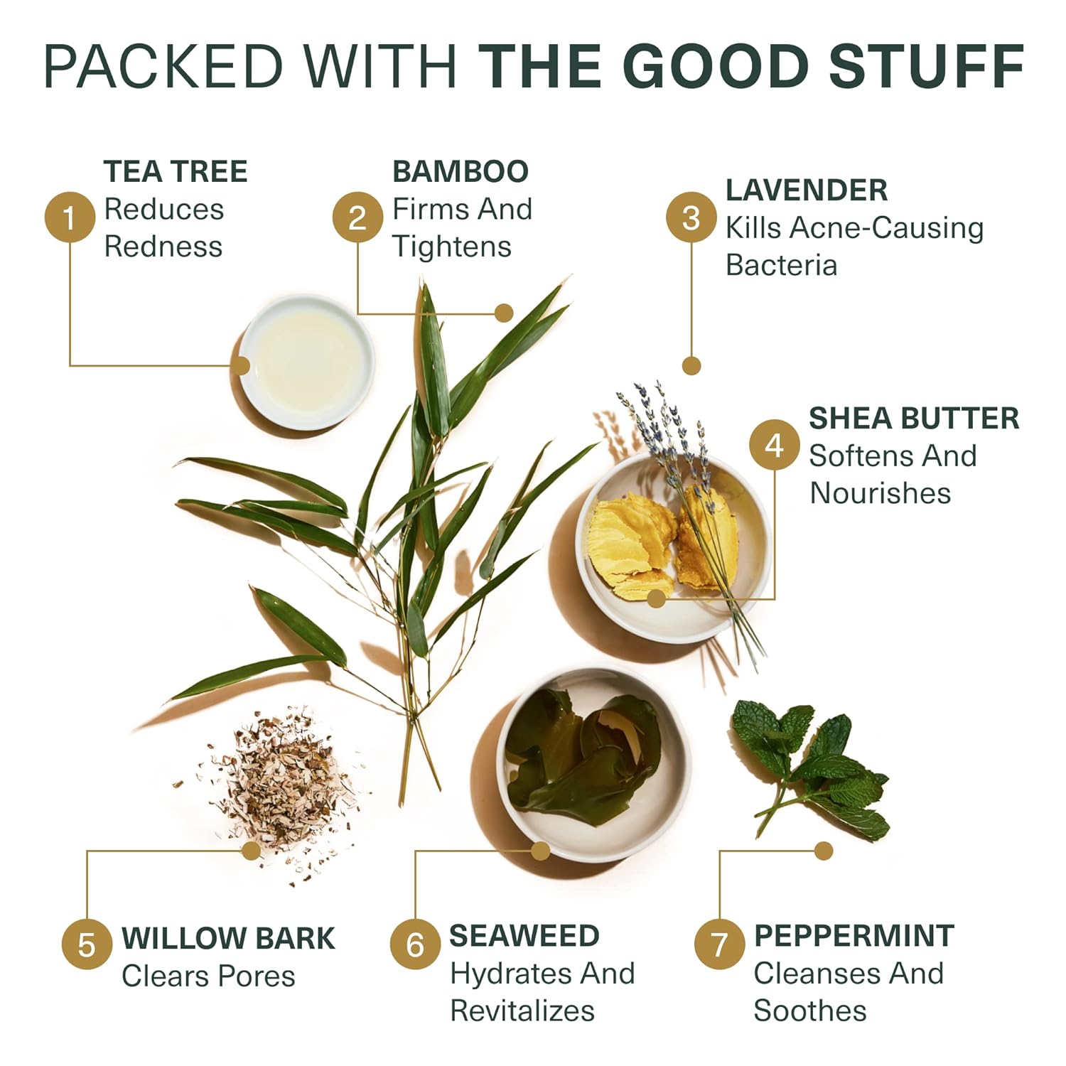 Botanic Tree Glycolic Acid Face Wash - Facial Cleanser and Scrub - 10% Glycolic Acid, AHA - Salicylic Cleanser - 6 fl. oz - Image 6