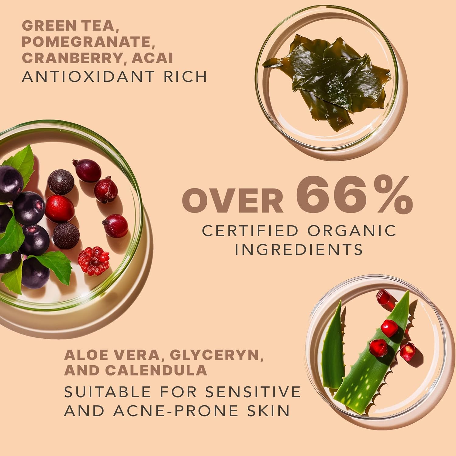 Beauty by Earth Clean Face Wash - USA Made with Organic & Natural Ingredients, Non-Toxic Facial Cleanser - Image 5