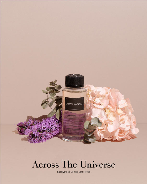 Aromatherapy Discovery Set - Image 6