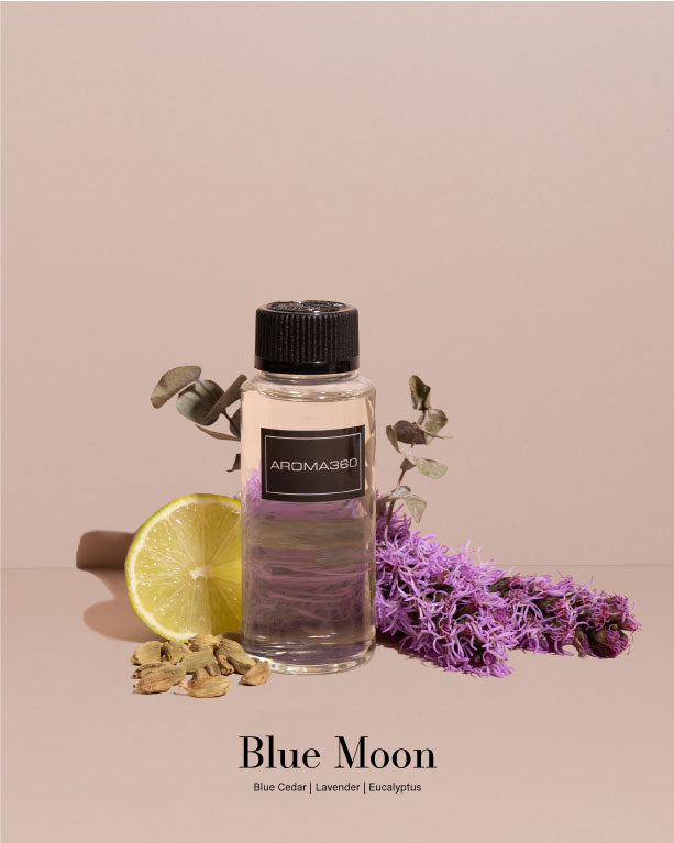 Aromatherapy Discovery Set - Image 8