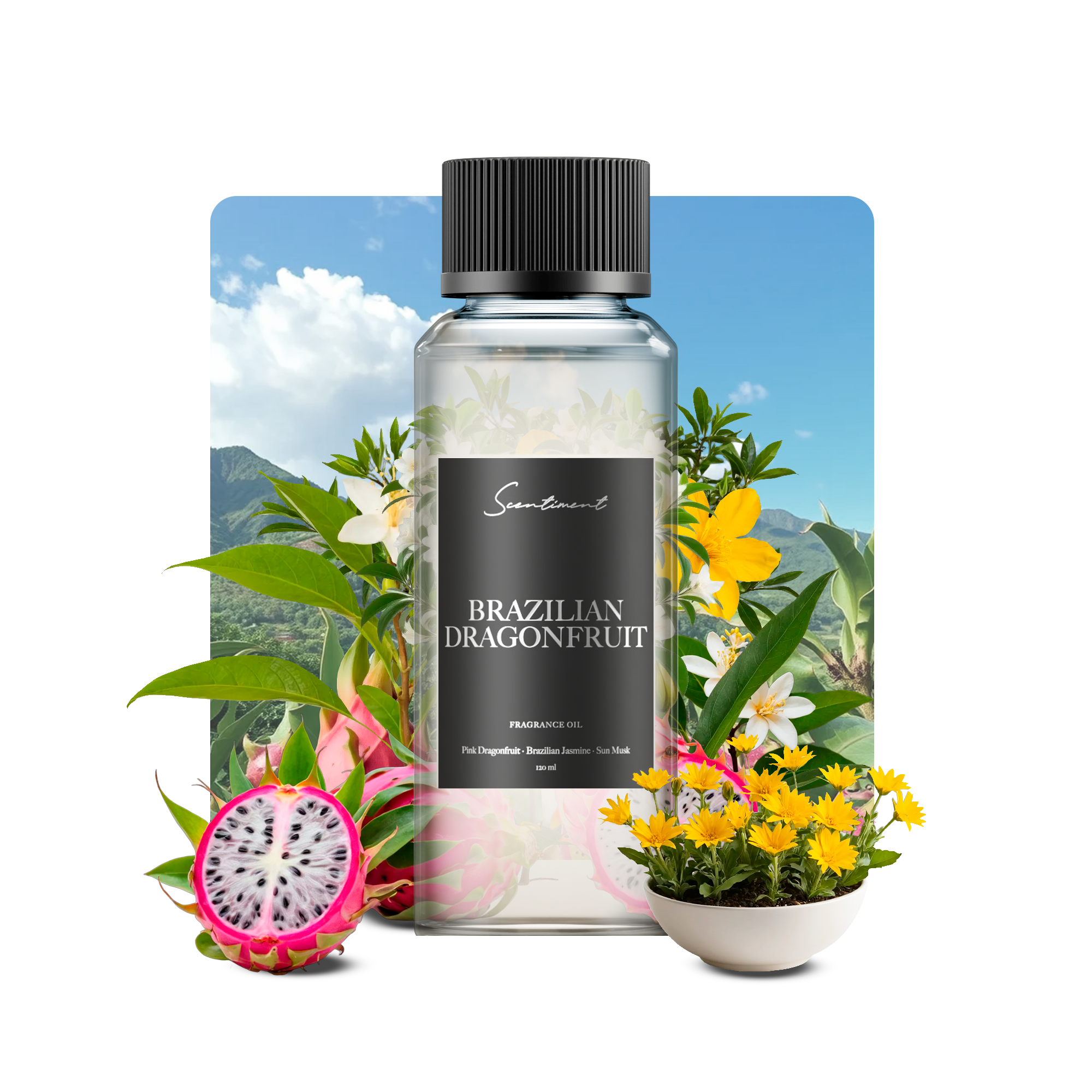 Brazilian Dragonfruit