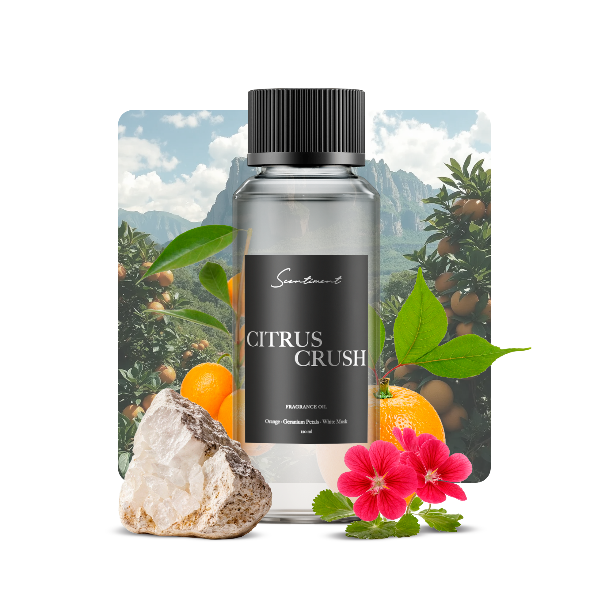 Citrus Crush