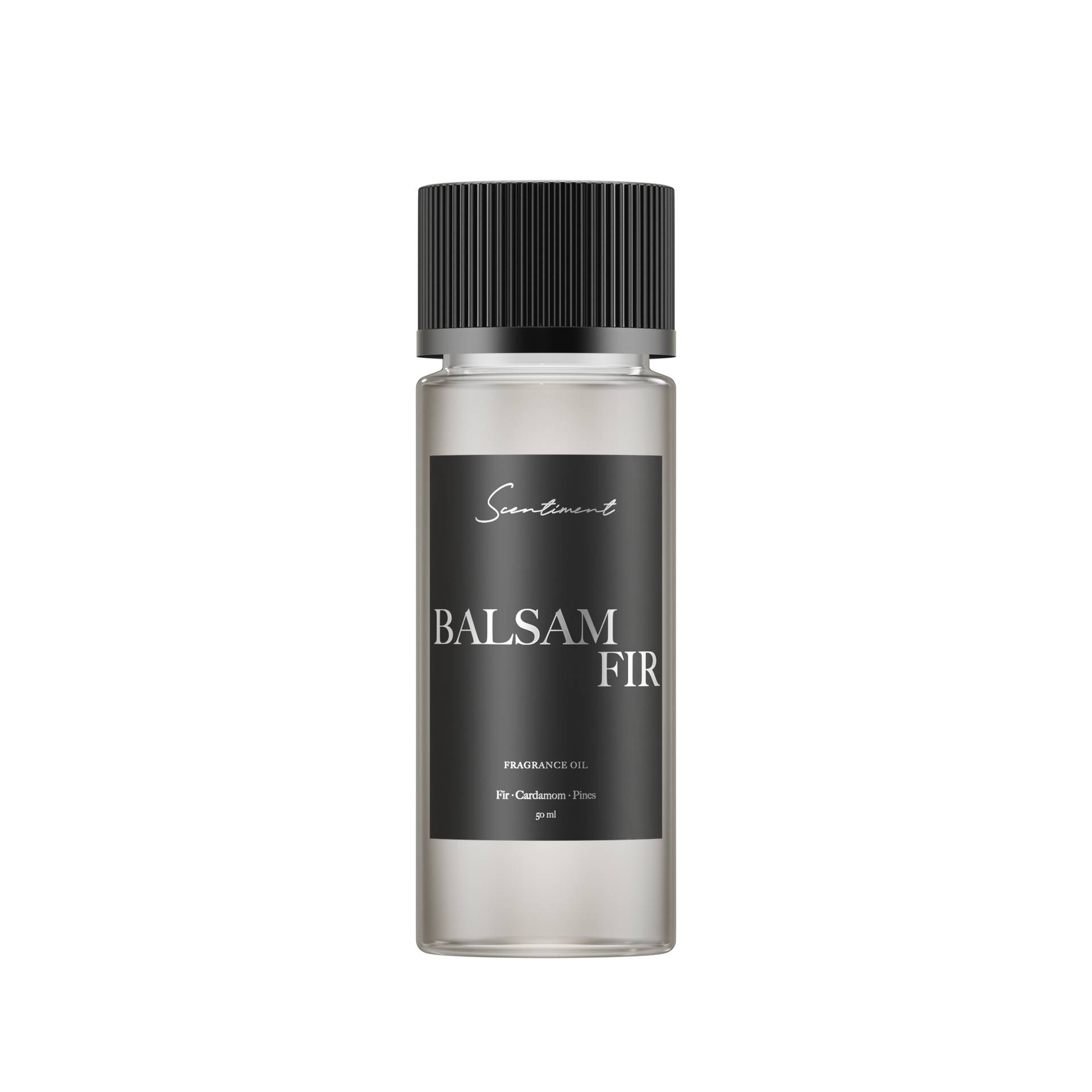 Balsam Fir - Image 7