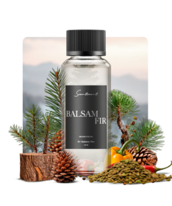 Balsam Fir