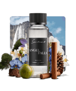 Angel Falls