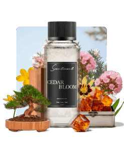 Cedar Bloom