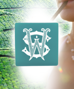 Calypso Perfume Infused Soap Bar