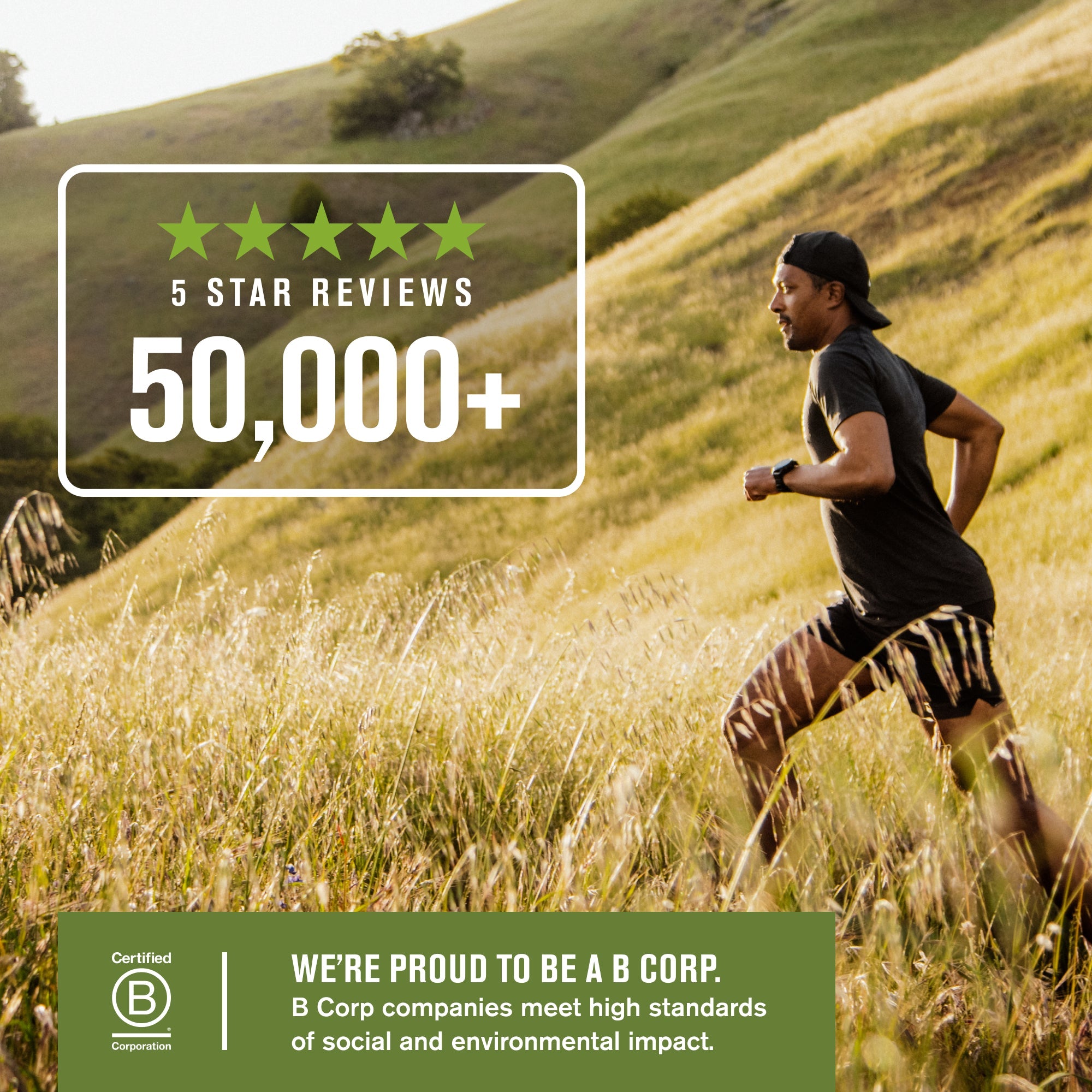 Beard Gift Set - Image 8