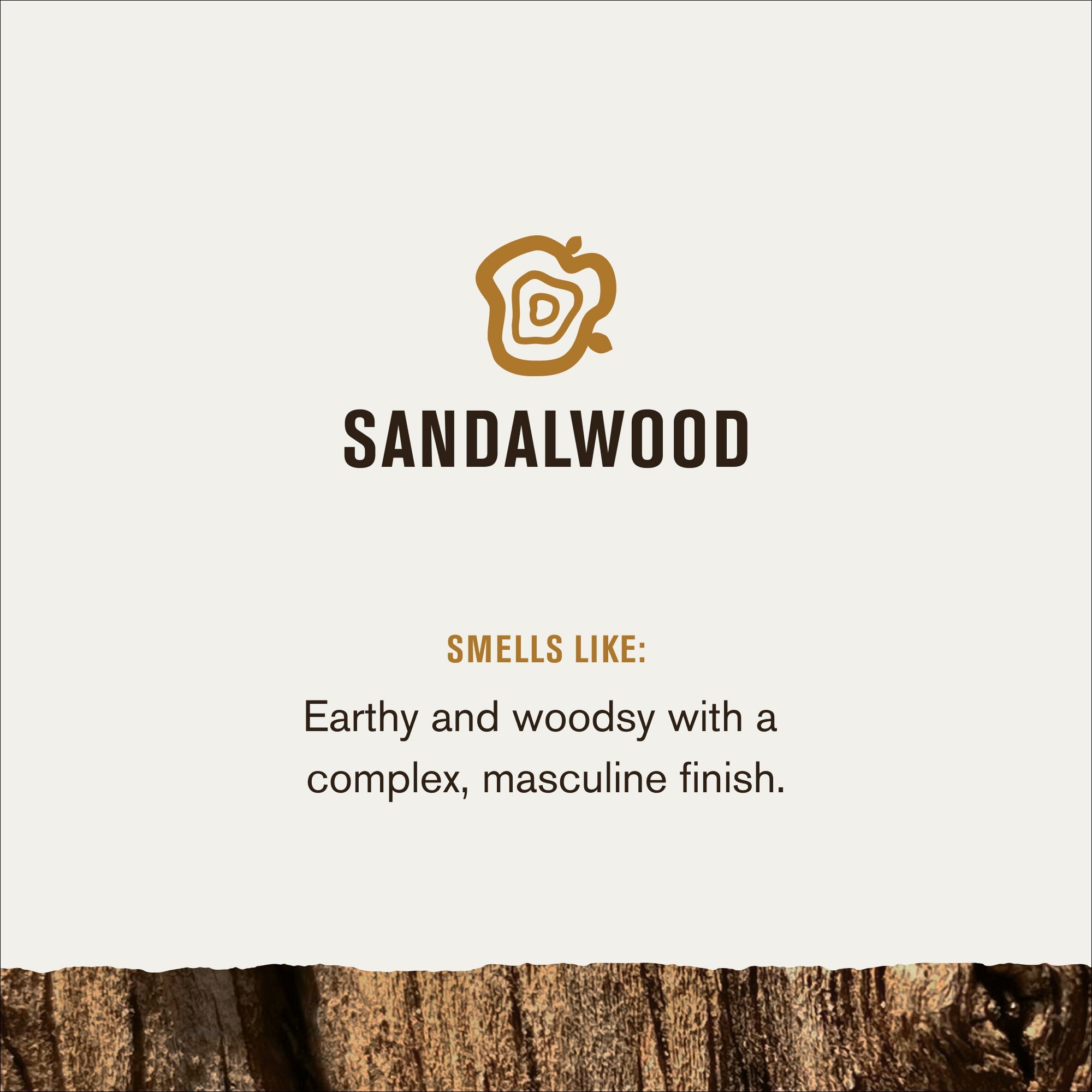 Beard Gift Set - Image 4