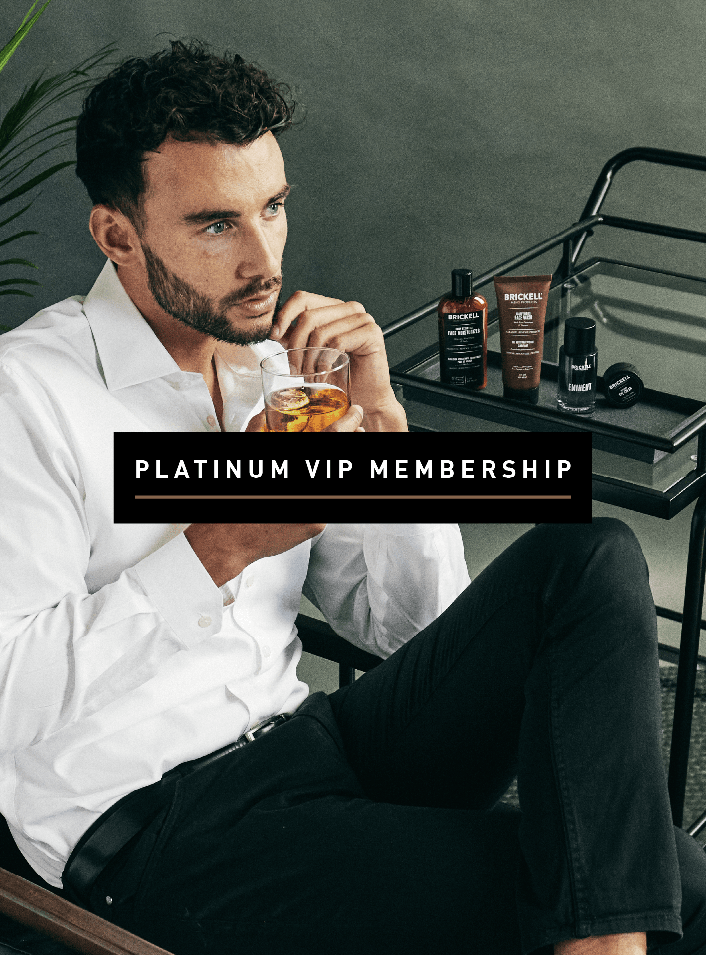 Brickell Platinum VIP Subscription + 6 Month Gift - Image 2